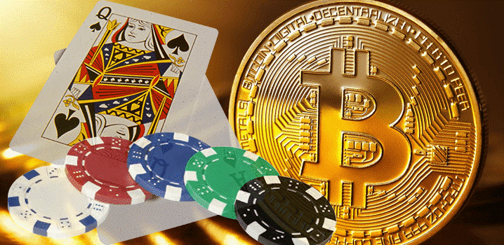 Der Zuwachs der Dogecoin Casinos: Eine detaillierte Rezension