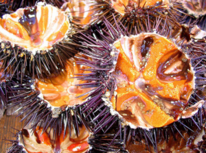 Cháo nhum - đặc sản của biển Nha Trang